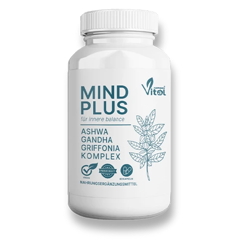 MindPlus